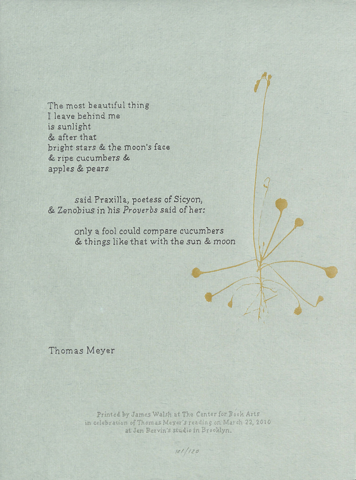 [The most beautiful thing] / Thomas Meyer: James Walsh
