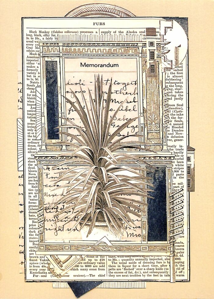 [Postcard advertising "Star Black: The Collaged Accordion"]
