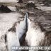 [Postcard advertising "Our Antropocene: Eco Crises"]