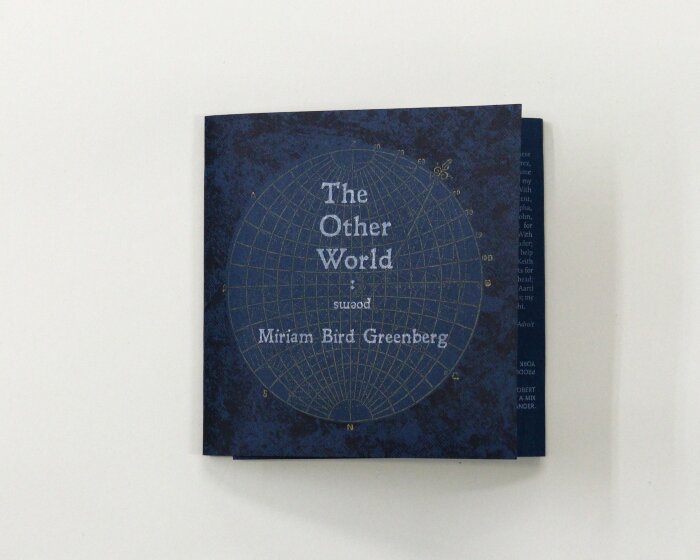 The Other World / Miriam Bird Greenberg