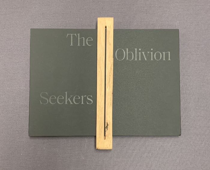 The Oblivion Seekers / Stephanie DeMer