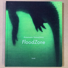 FloodZone / Anastasia Samoylova
