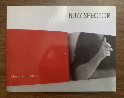 Buzz Spector : new work / Bruno David Gallery