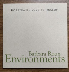Barbara Roux : environments / curated by Karen T. Albert