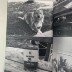 Image of cover