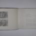 Imprints and Artifacts = Pragungen und Werkstuke / Diane Samuels