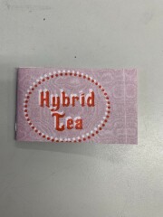 Hybrid Tea / Stephen Grebinski
