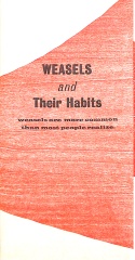 Weasels and Their Habits: Weasels Are More Common Than Most People Realize / Sarah Nicholls