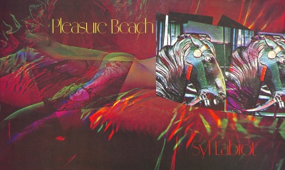 Pleasure Beach: A Book in Three Parts / Syl Labrot