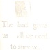 The Land Gives Us All We Need to Survive / Colin McMullan