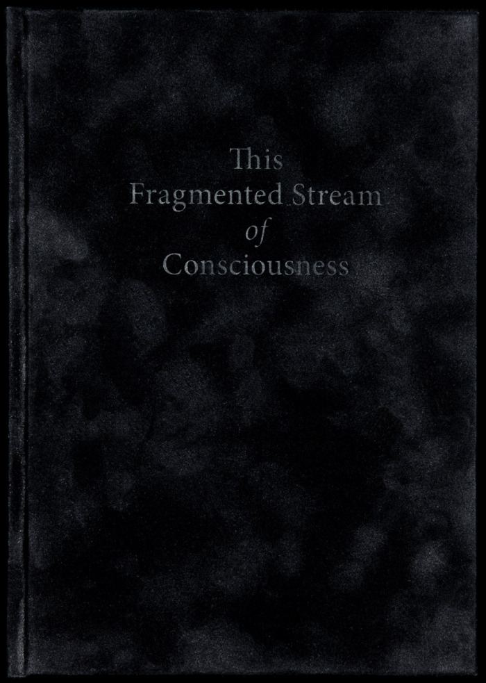 This Fragmented Stream of Consciousness / Malik Kirkwood