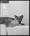 K is for Kato: An Esperanto Alphabet Book / Margaret Salmon