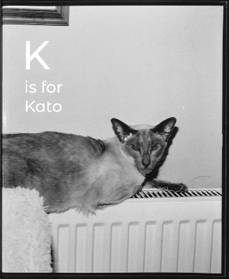 K is for Kato: An Esperanto Alphabet Book / Margaret Salmon