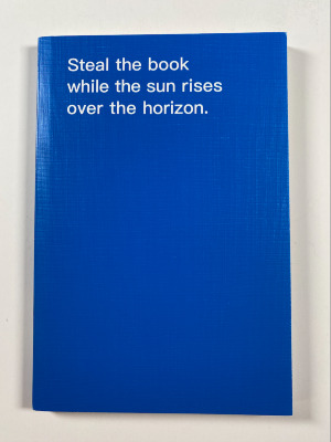 How to shoplift books / David Horvitz