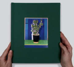 Houseplants / Photographs by Daniel Gordon, paper engineering by Simon Arizpe, edited by Denise Wolff 