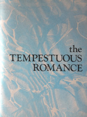 The Tempestuous Romance / Sally Alatalo