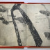 Edges are Steps / Sarah Plimpton