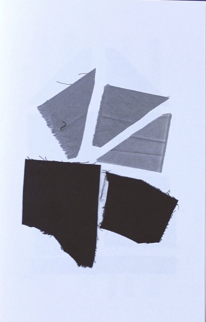Scrap Compositions / Cory Emma Siegler