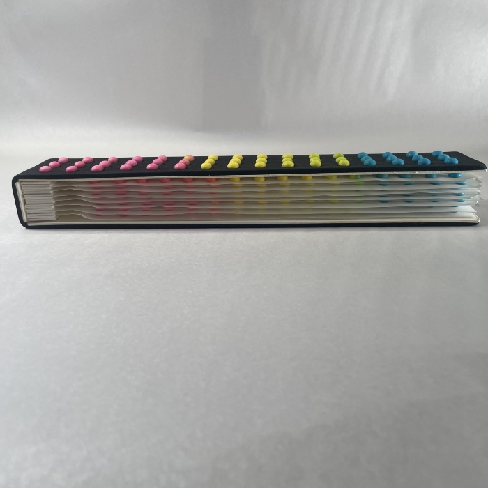 The Candy Button Book / Mindell Dubansky