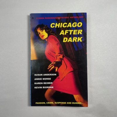 Chicago After Dark / Susan Anderson, Annie Morse, Karen Reimer, and Kevin Riordan