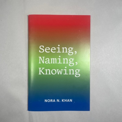 Seeing, Naming, Knowing / Nora N. Khan