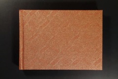  A Venetian Brocade / Helen Douglas
