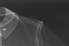 Temporarily Accessioned / Paul Coldwell