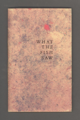 What the Fish Saw / Michael Rothenberg; Don Gray; Nancy Davis