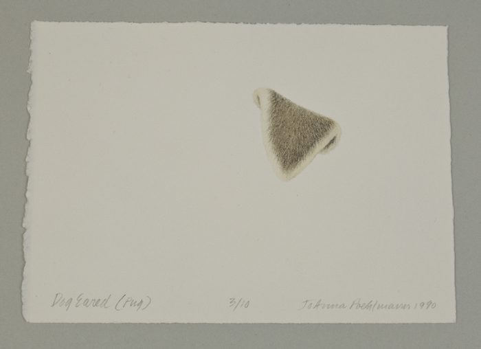 Dog Eared / Joanna Poehlmann, print