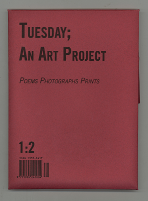 Tuesday; An Art Project / Jennifer M. Flescher