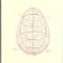 Isometric Systems in Isotropic Space: Map Projections From the Study of Distortions Series, 1973-1979 / Agnes Denes