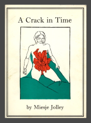 A Crack in Time / Miesje Jolley