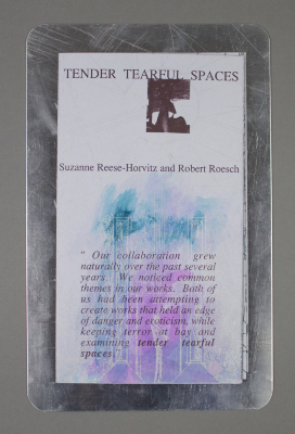 Tender Tearful Spaces / Suzanne Reese-Horvitz; Robert Roesch