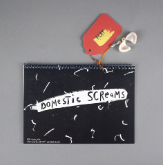 Domestic Screams / Stephanie Brody Lederman