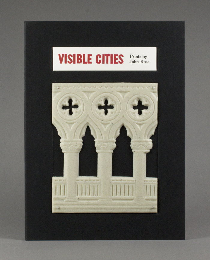 Visible Cities / John Ross; Tim Ross