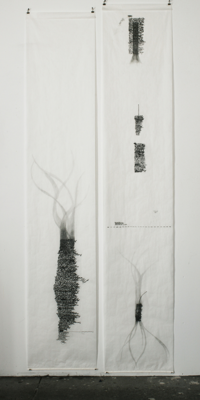 Untitled (with plant forms) / Anne Gilman