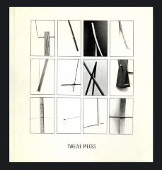 Twelve Pieces / Richard Wilson; Mick Williamson; Coracle Press
