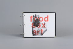 The Starving Artists' Cookbook : food, sex, art / Paul and Melissa Eidia (Paul Lamarre and Melissa Wolf)