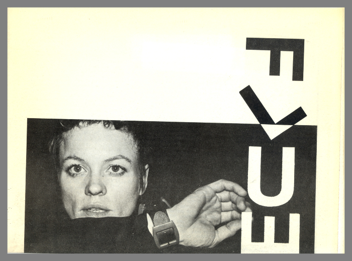 Flue / Franklin Furnace Archive, Inc.