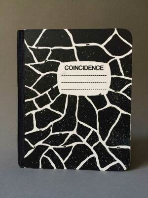 Coincidence / Candice Hicks