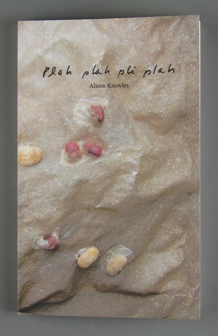 Plah plah pli plah / Alison Knowles / Alison Knowles