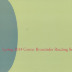 [Postcard advertising spring 2014 Center for Book Arts broadsides reading series]
