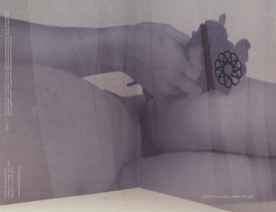 [Exhibition brochure for "Cynthia Thompson: Within The Veil"]

